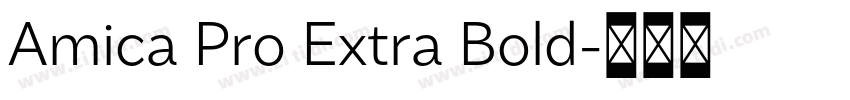 Amica Pro Extra Bold字体转换 Amica Pro Extra Bold字体转换